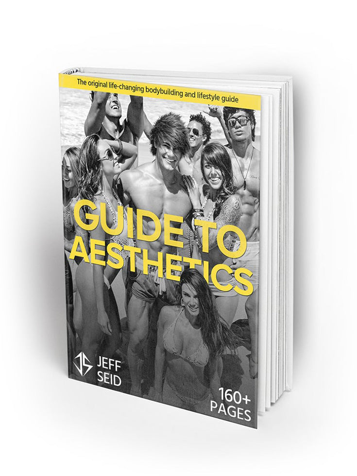 Guide to Aesthetics Hardcopy